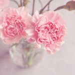 「花風水」を実践！部屋にピンクの花を飾って恋愛運をアップしてみよう♡