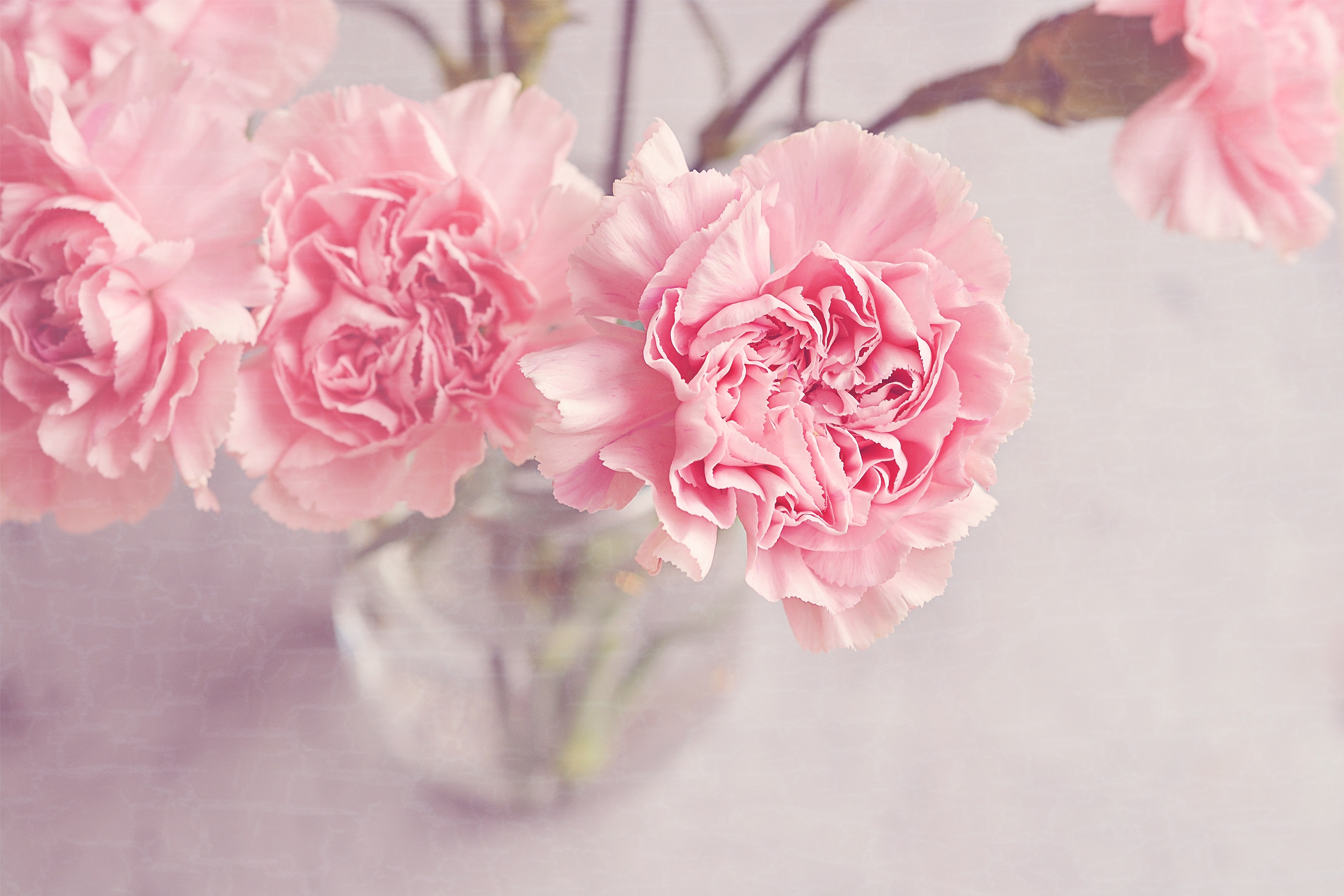 花風水 を実践 部屋にピンクの花を飾って恋愛運をアップしてみよう アラサー34歳女子ハピマリの婚活日記